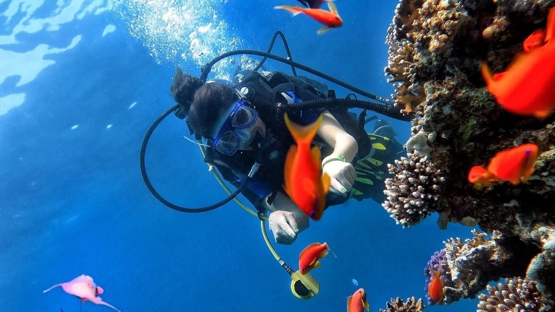 Voyage organisé Sharm El Sheikh et Le Caire